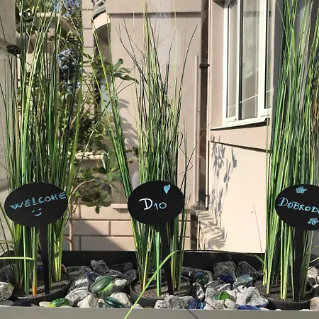 Garni D10 Hotel Belgrad