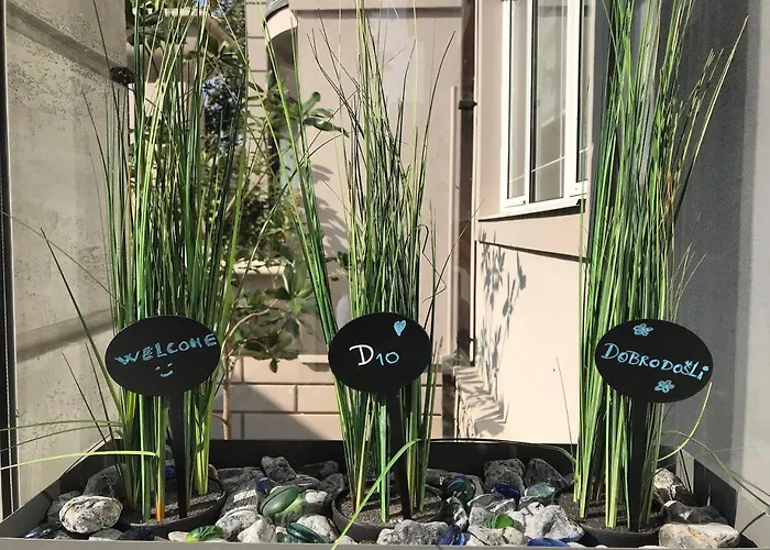 Garni D10 Hotel Belgrad